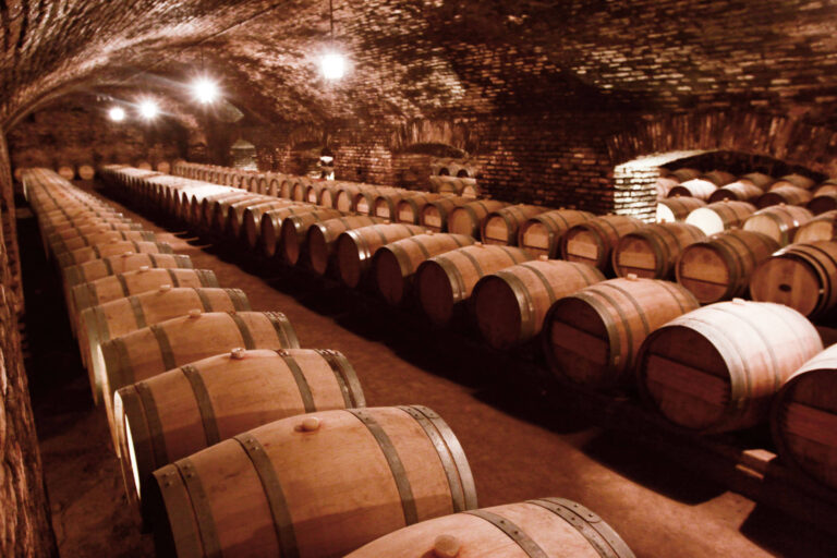 Casillero del Diablo lança vinho em versão sem álcool - 26/05/2026 - Painel S.A.