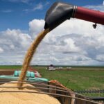 PIB do 1º trimestre do agronegócio avança 0,7% - 29/05/2026 - Economia