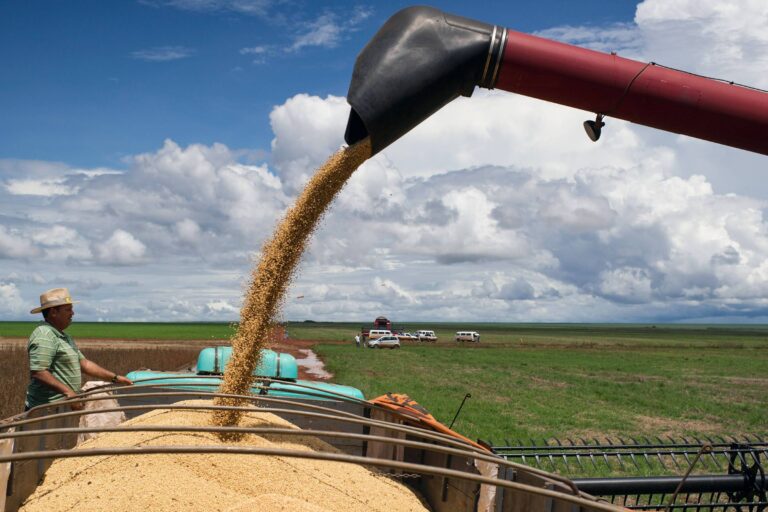PIB do 1º trimestre do agronegócio avança 0,7% - 29/05/2026 - Economia